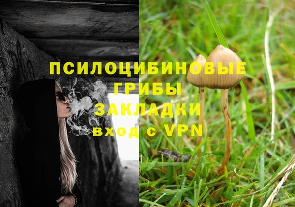 каннабис Карпинск