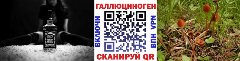 Галлюциногенные грибы прущие грибы  Купить  Черемхово 